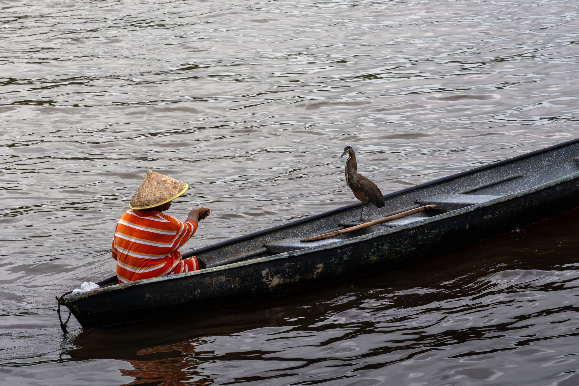 Pirogue sur le canal, Costa Rica