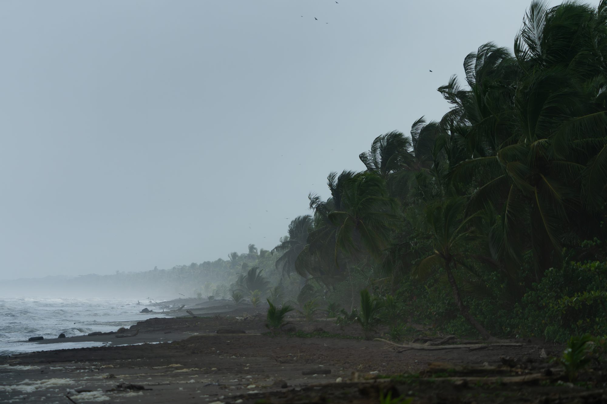 Côte, Costa Rica