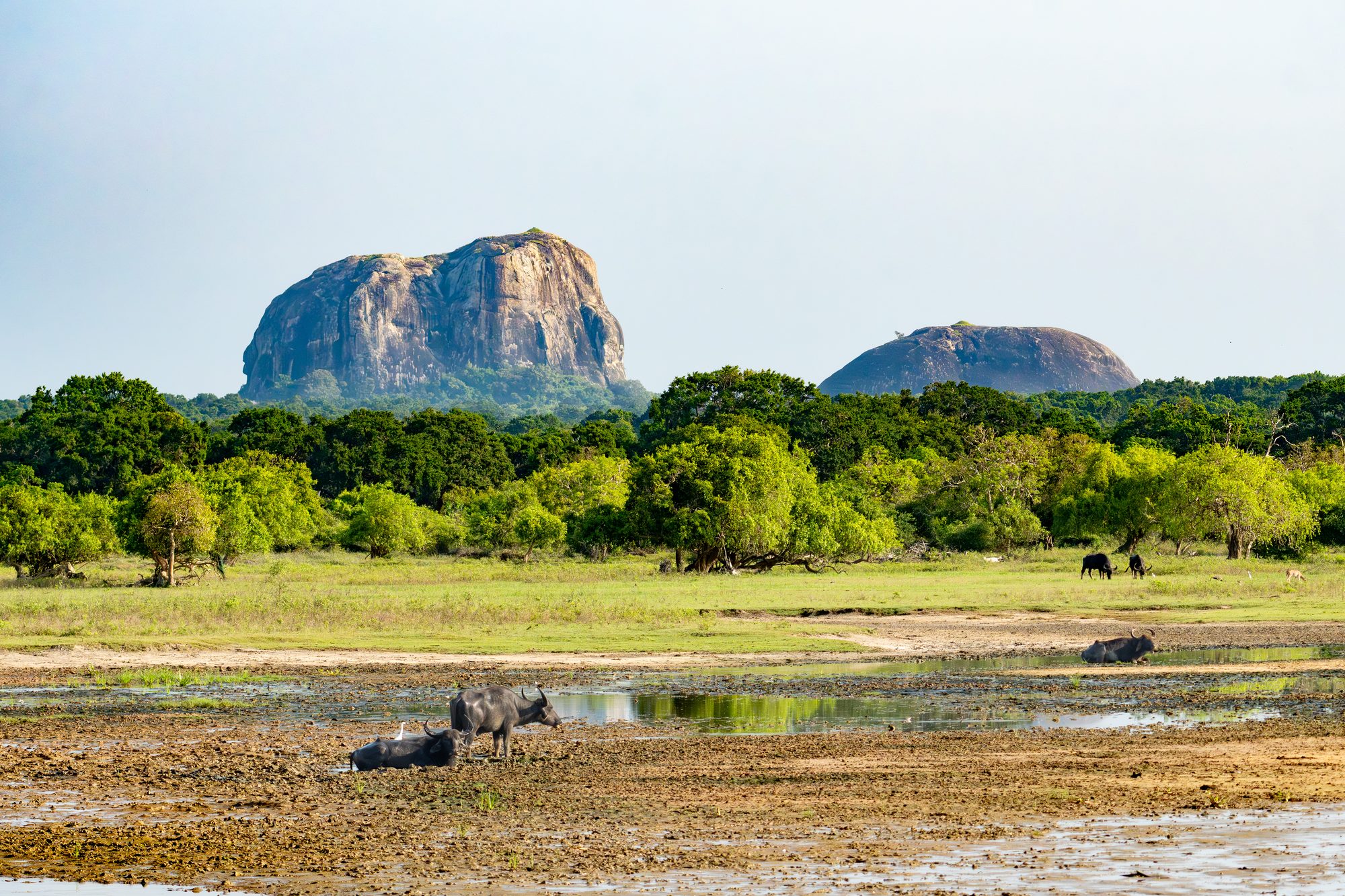 Paysage, Sri Lanka